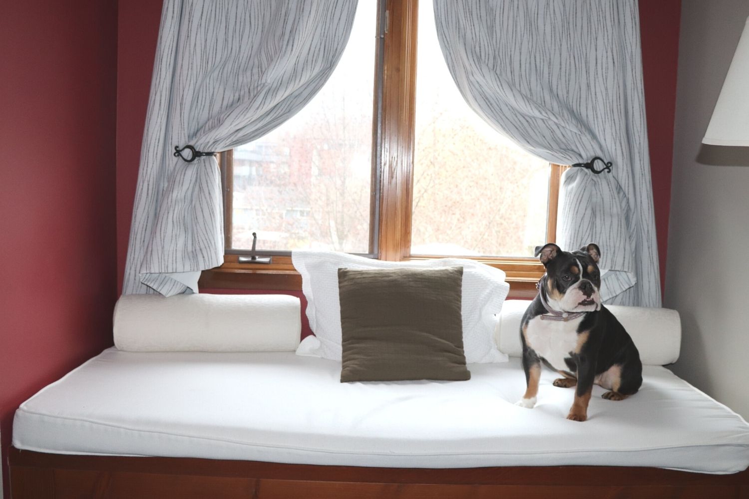Squamish's Dog Friendly Hotels Image