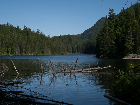 Brohm Lake Trail Brohm Lake