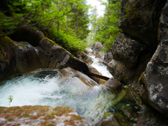 Upper Shannon Creek Shannon Creek on the Sea to Summit