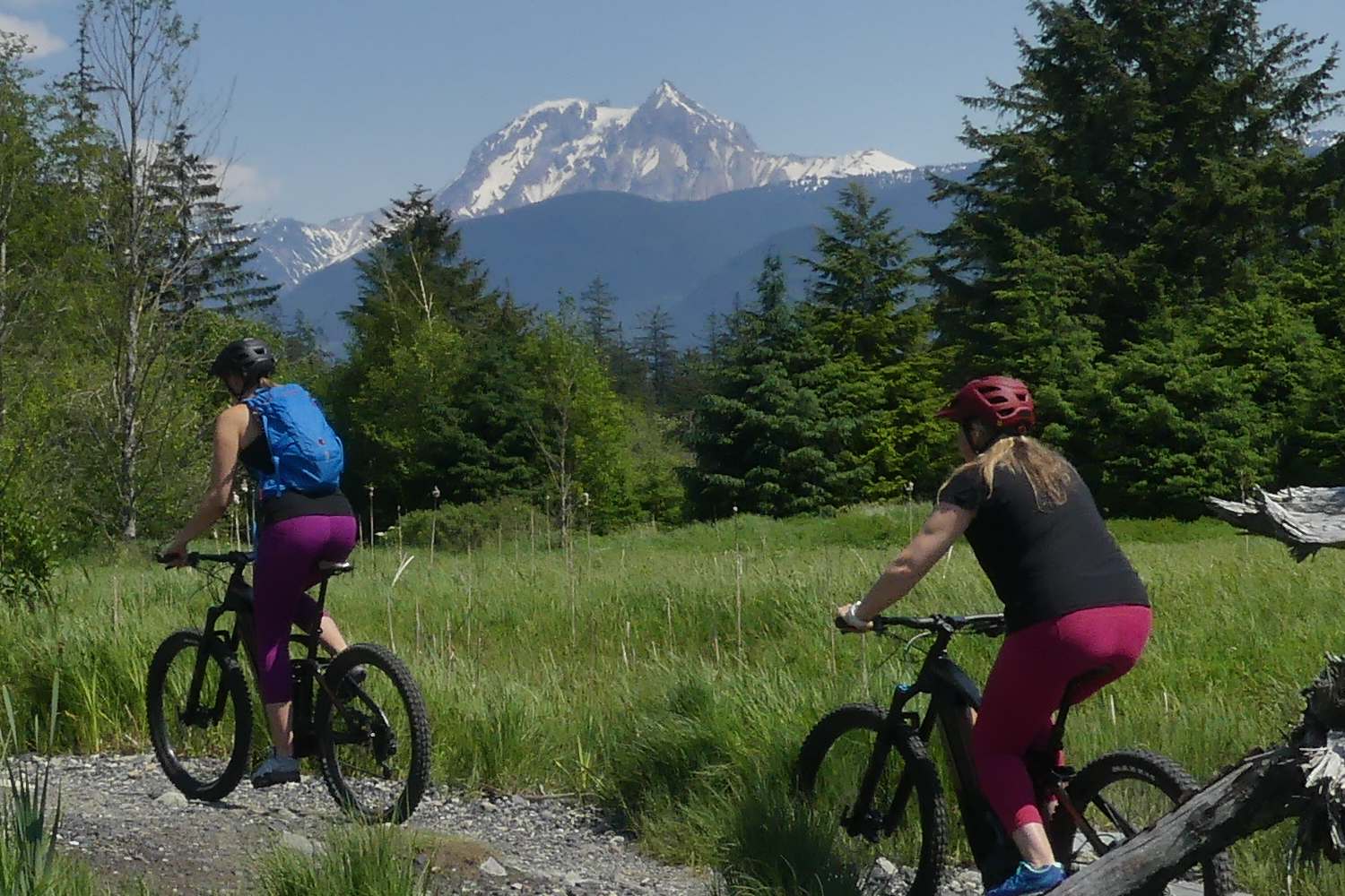 Mountain Biking in Squamish