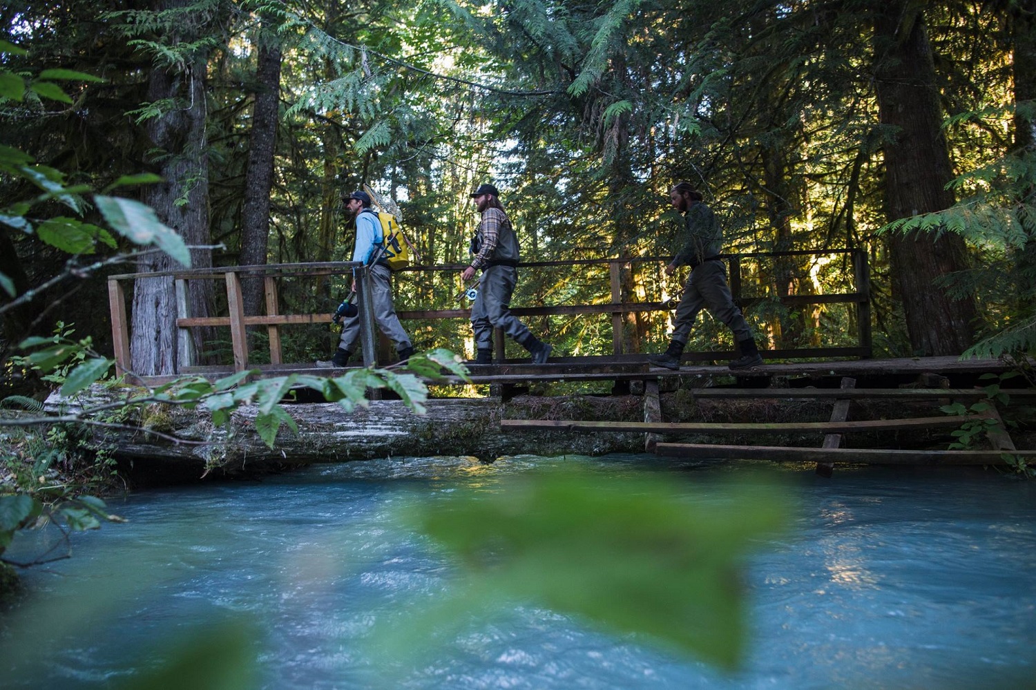 Where to Go Fishing in Squamish Image