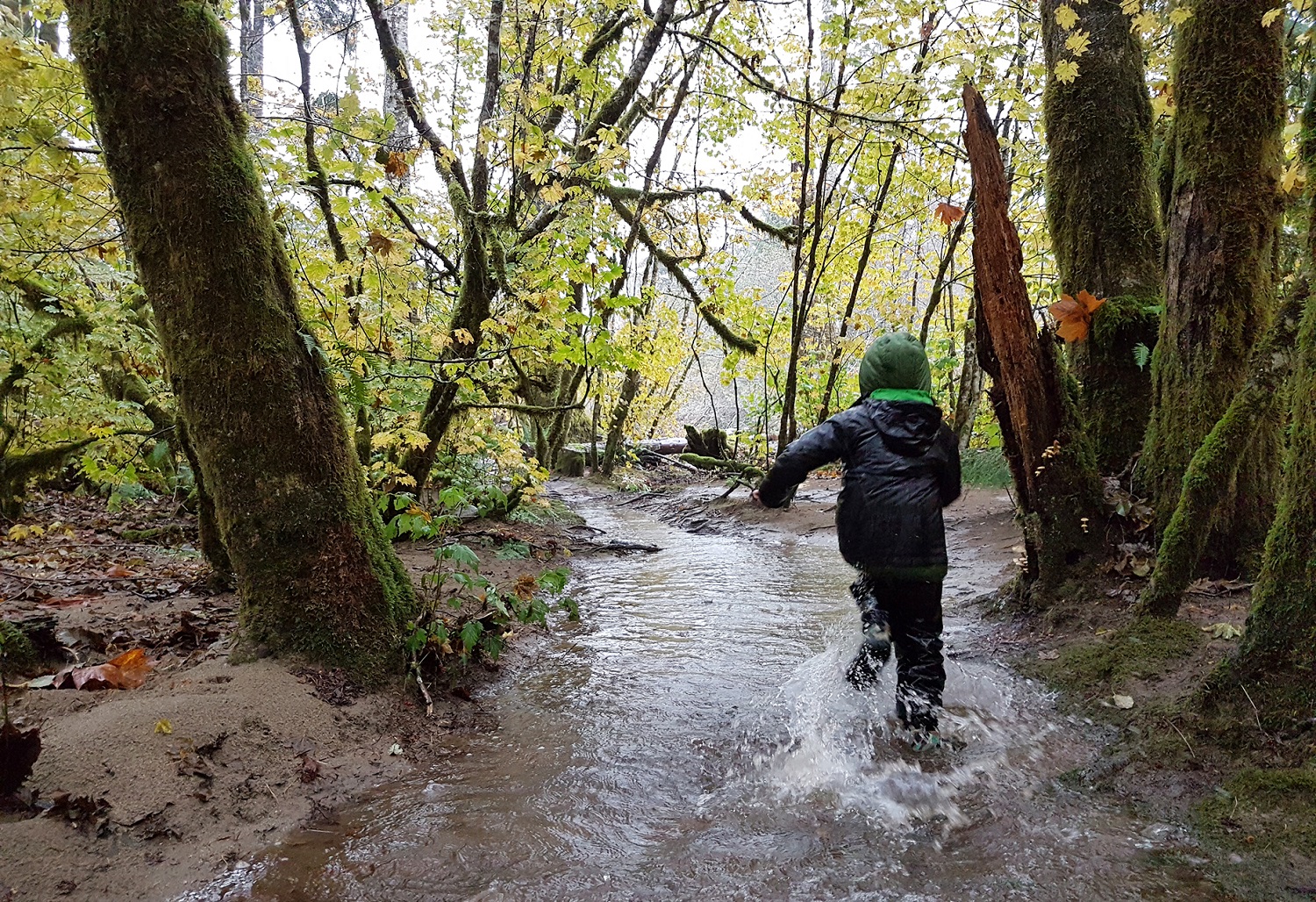 Where to Go Puddle Jumping in Squamish  Image