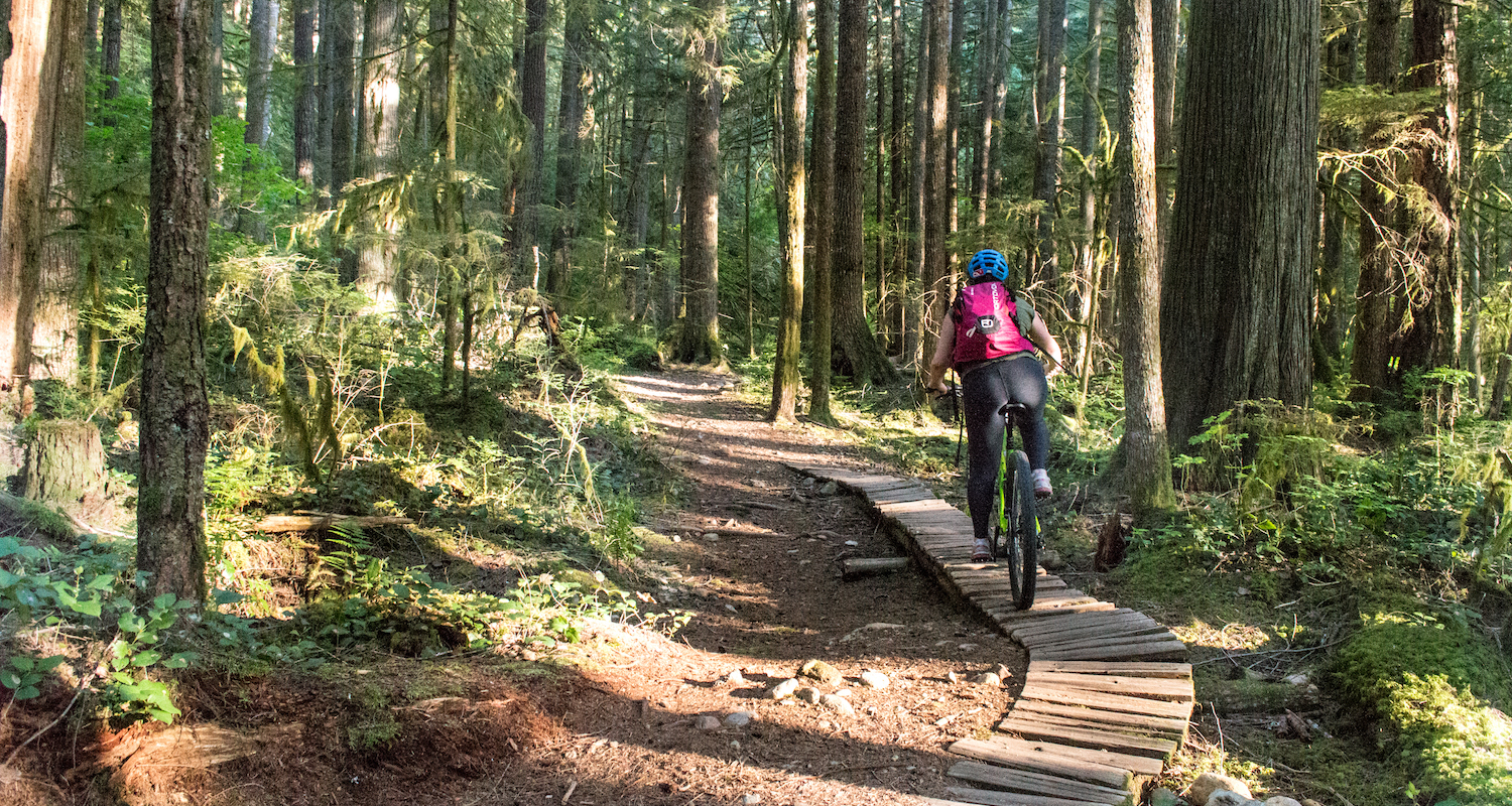 Squamish Bike Guide: Brackendale Zone Image