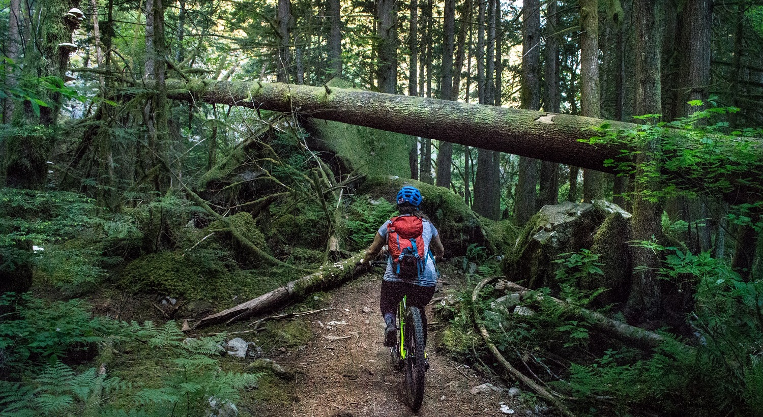 Squamish Bike Guide: Brackendale Zone Image