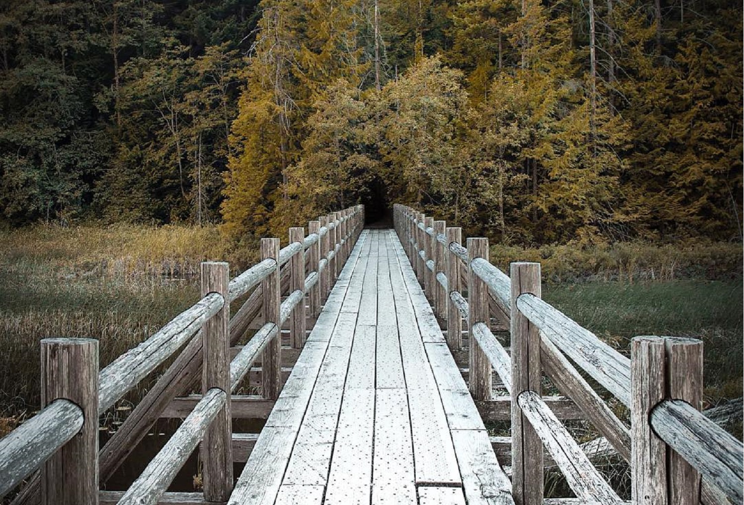 6 Kid-Friendly Hikes in Squamish  Image