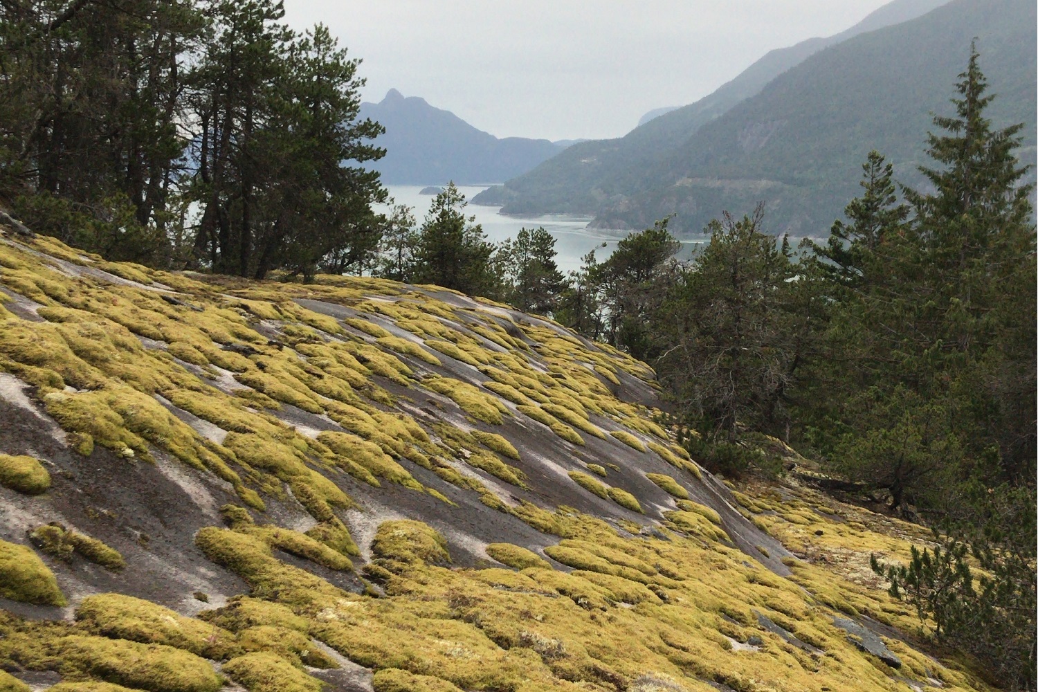 Hiking Murrin Provincial Park Image