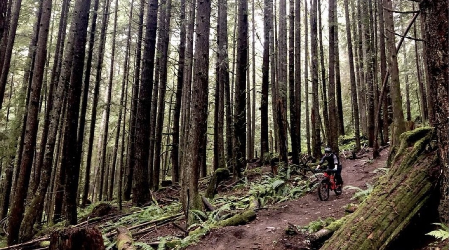 Top Early Season Mountain Bike Trails Image