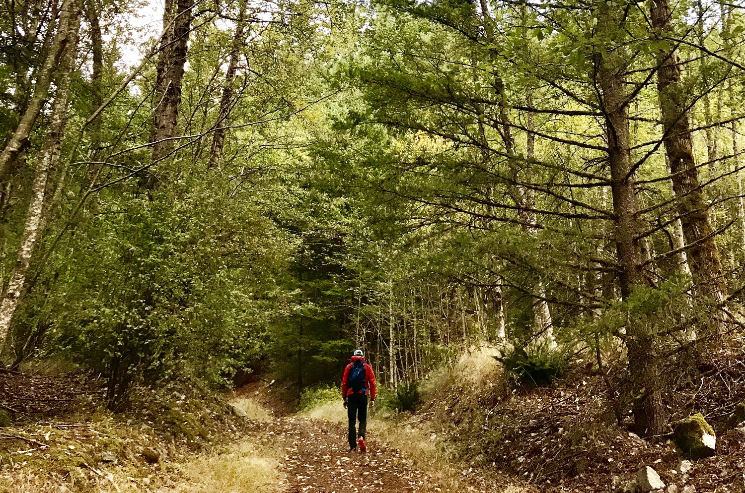 Squamish's Top 5 Kid-Friendly Fall Hikes Image