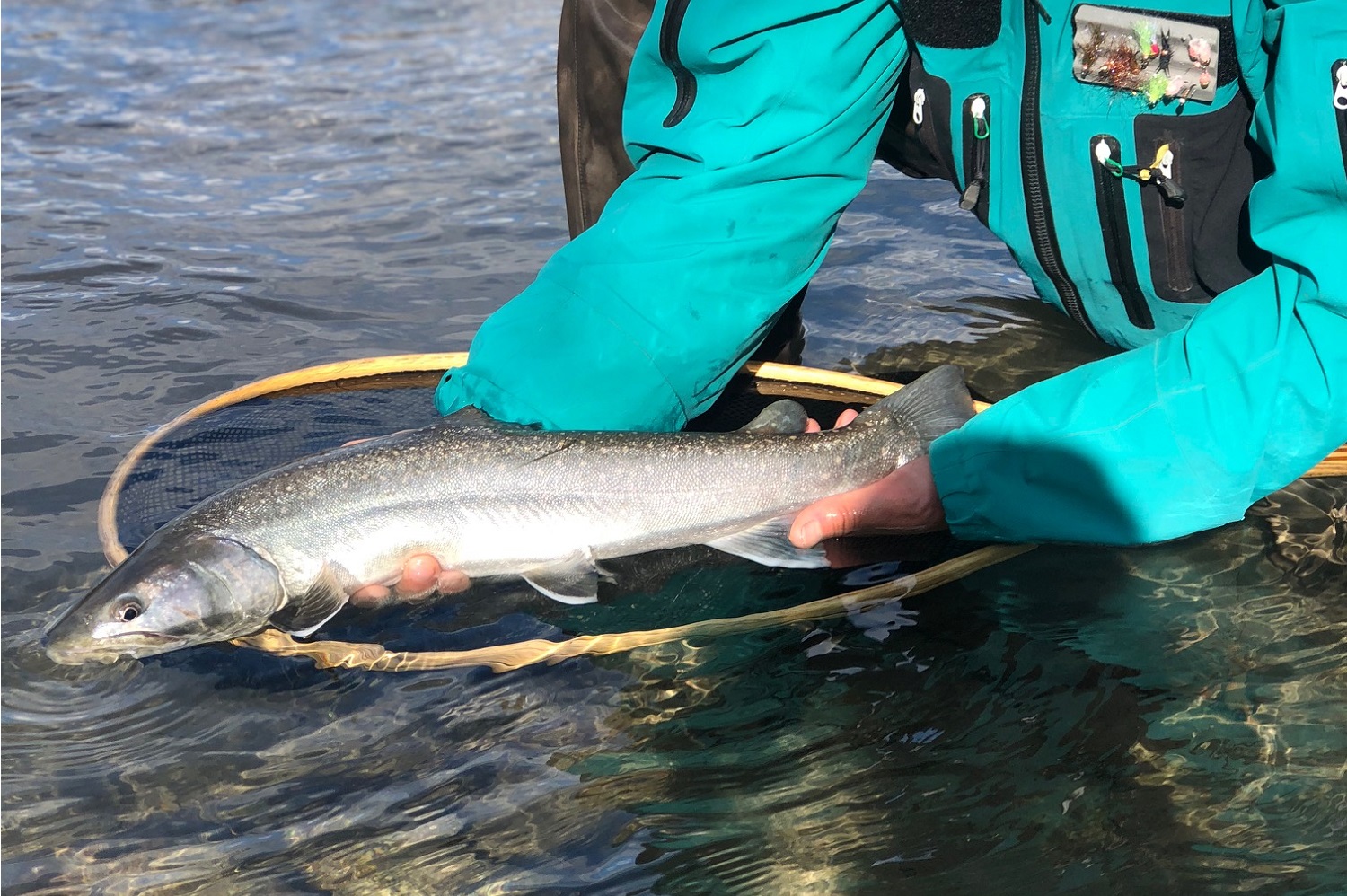 Where to Go Fishing in Squamish Image