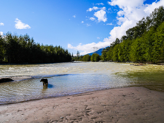 Lola in the River