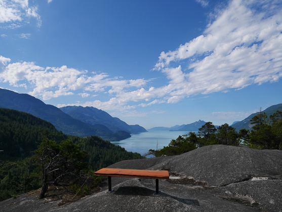 Bench along the Murrin Park Loop Trail