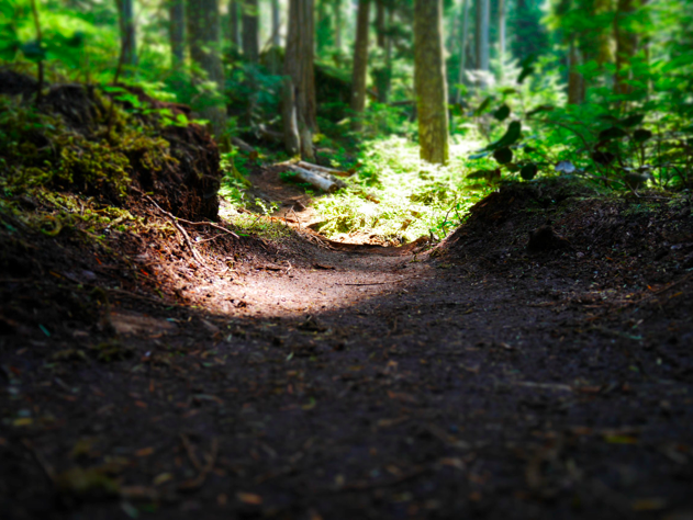 Four Lakes Trail