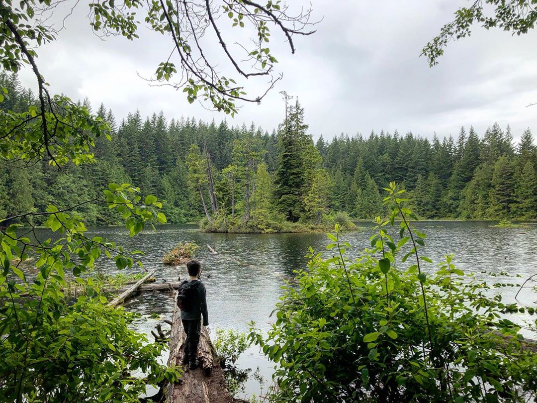 6 Kid-Friendly Hikes in Squamish Image