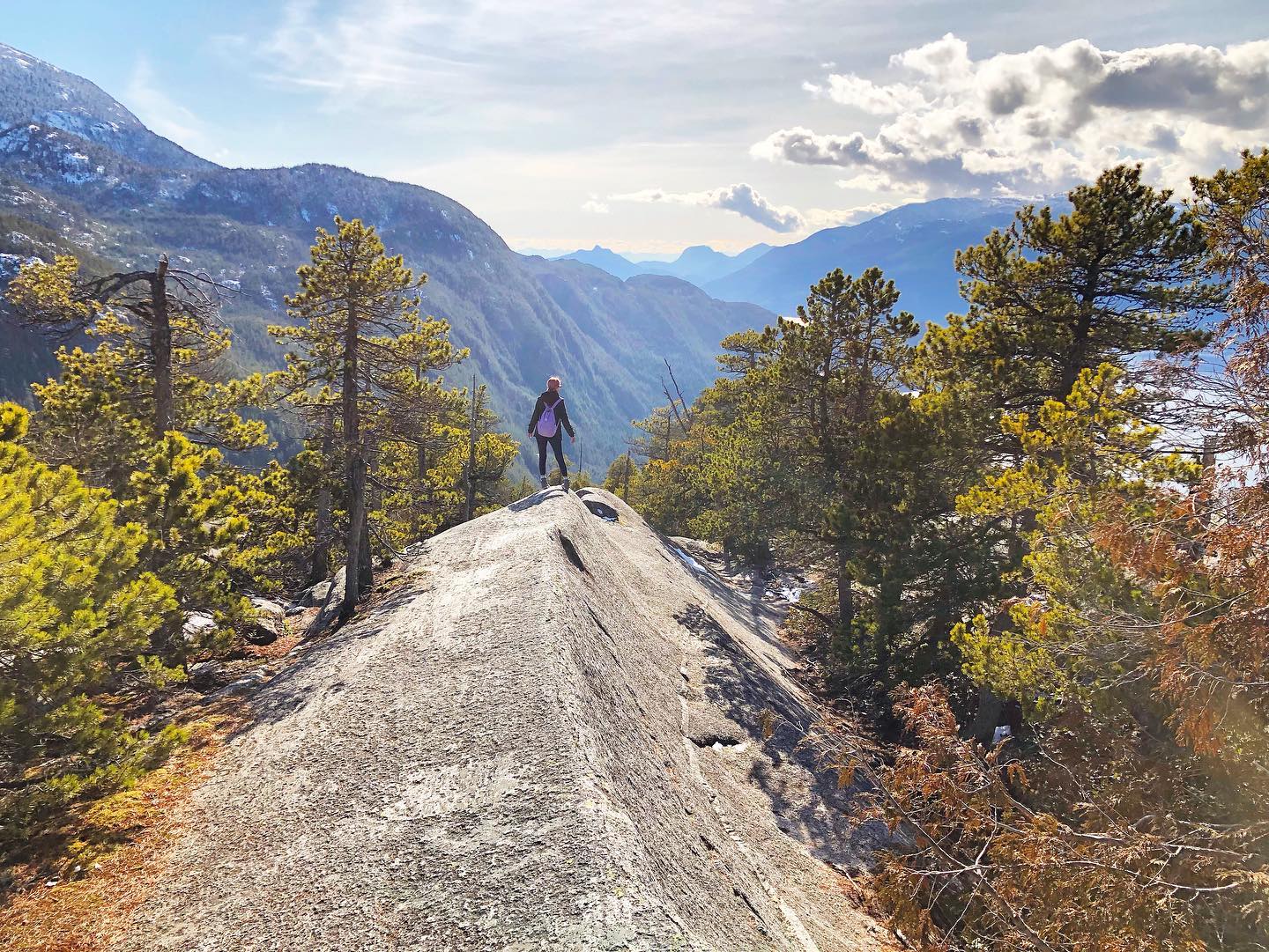 Best Places to See Autumn Colours in Squamish Image