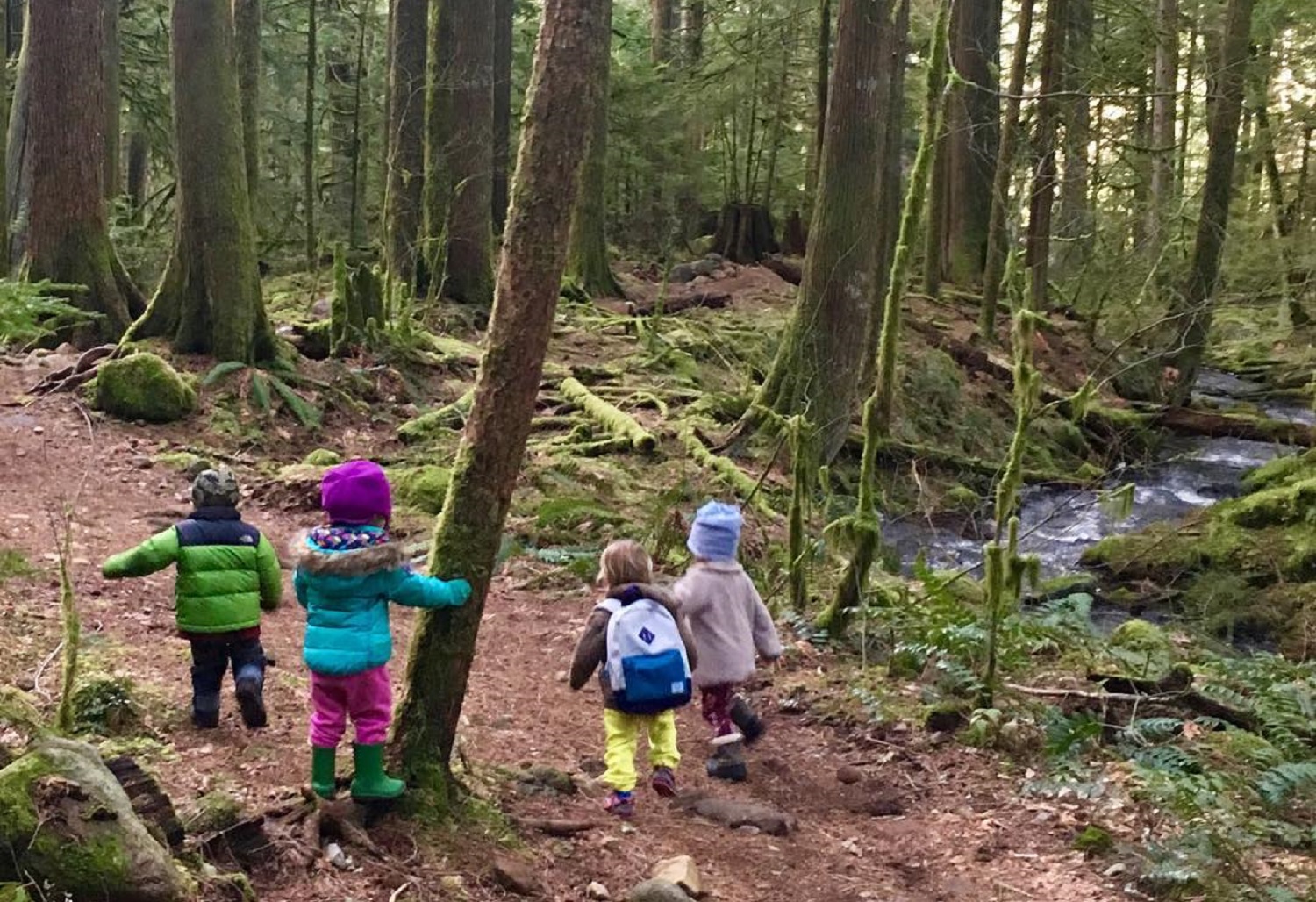 Squamish's Top 5 Kid-Friendly Fall Hikes Image