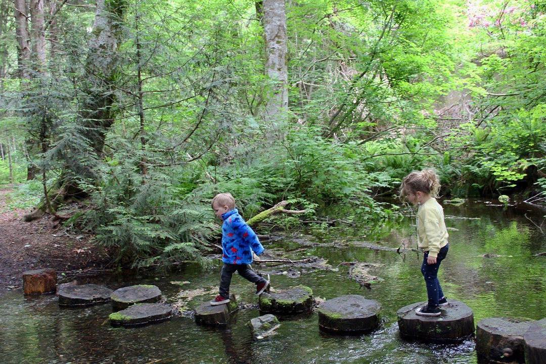 Where to Go Puddle Jumping in Squamish  Image