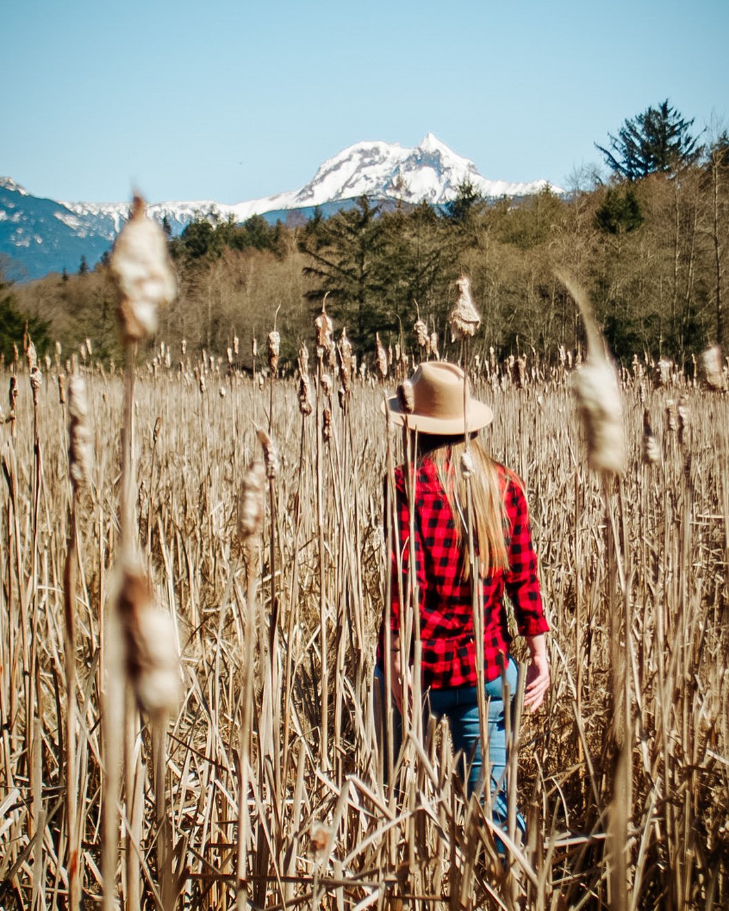 Best Places to See Autumn Colours in Squamish Image