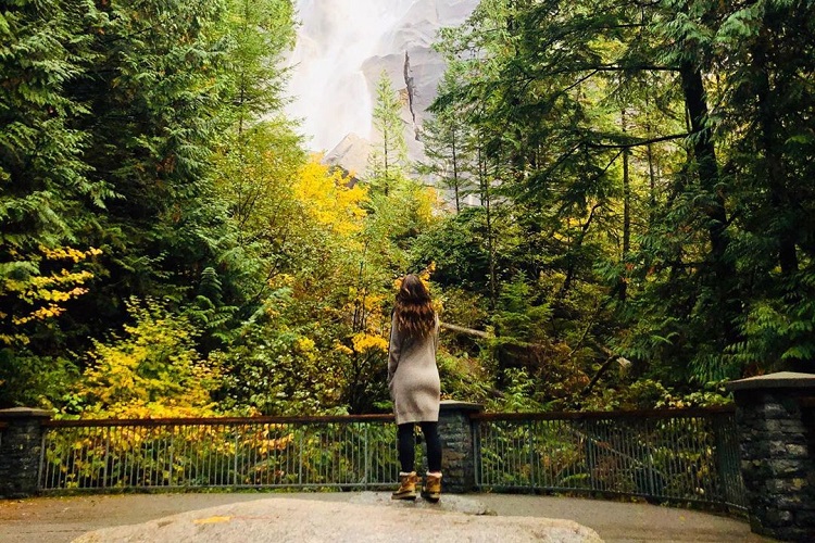 Best Places to Explore the Squamish Rainforest Image