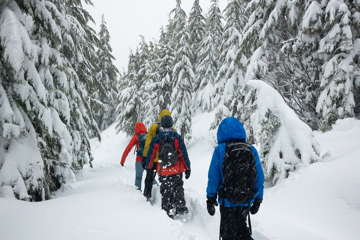 Hike & Snowshoe Kid's Winter 2-Day Itinerary