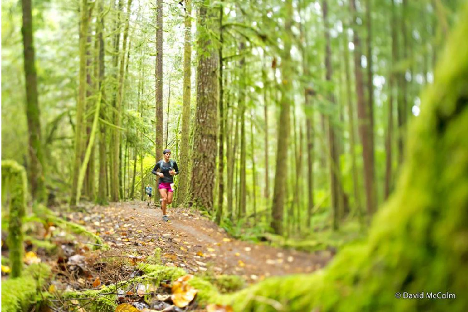 Squamish - A Trail Runner's Paradise