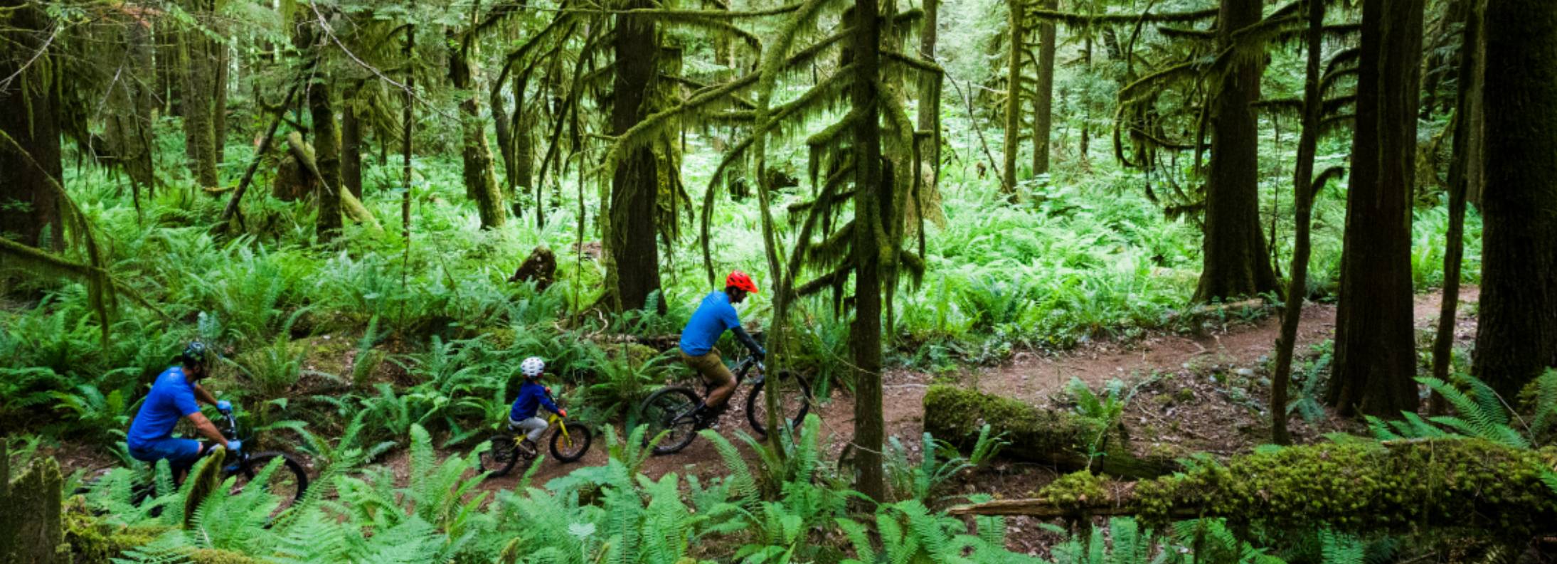 Mountain Biking in Squamish