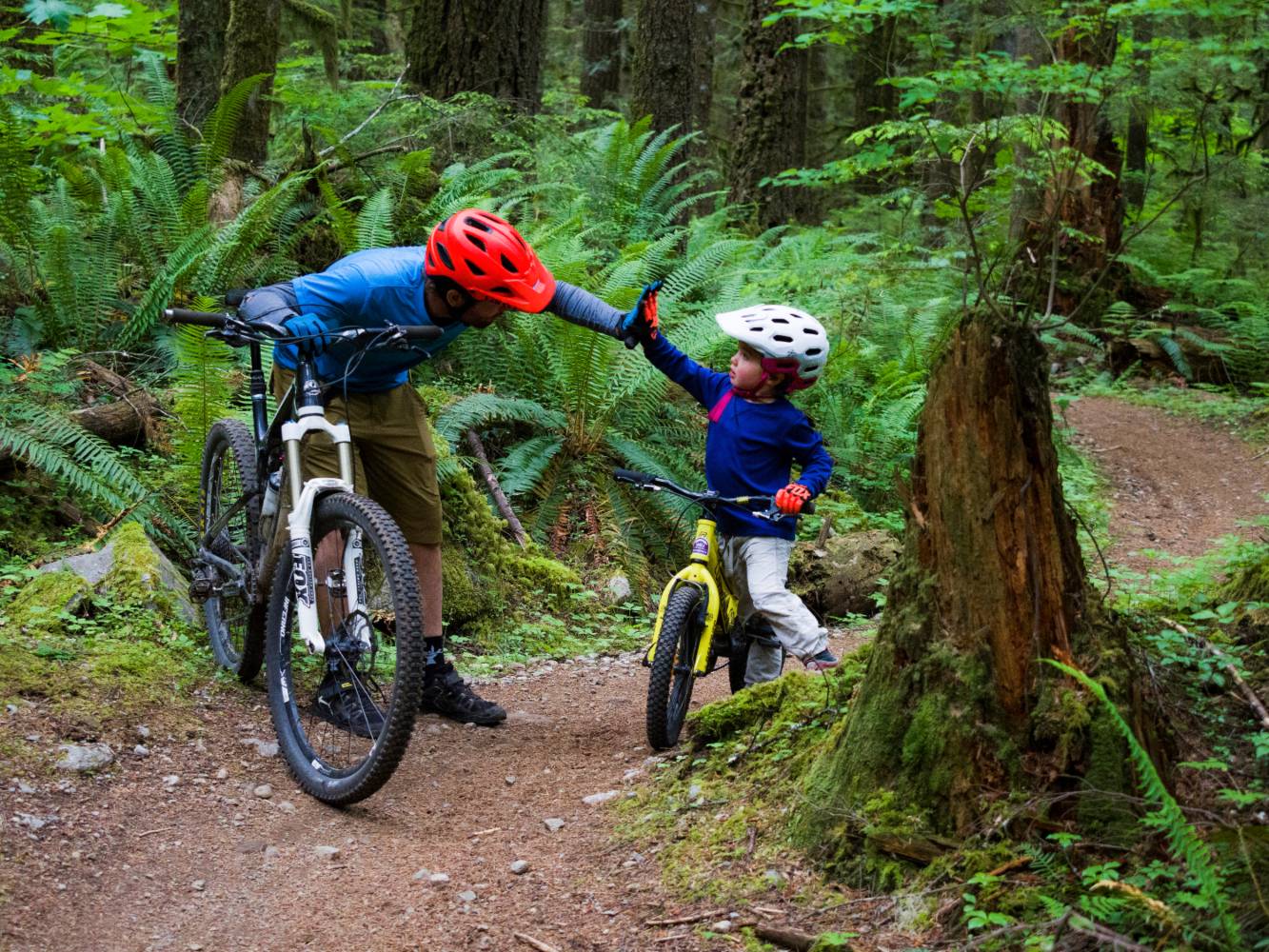Mountain Biking in Squamish