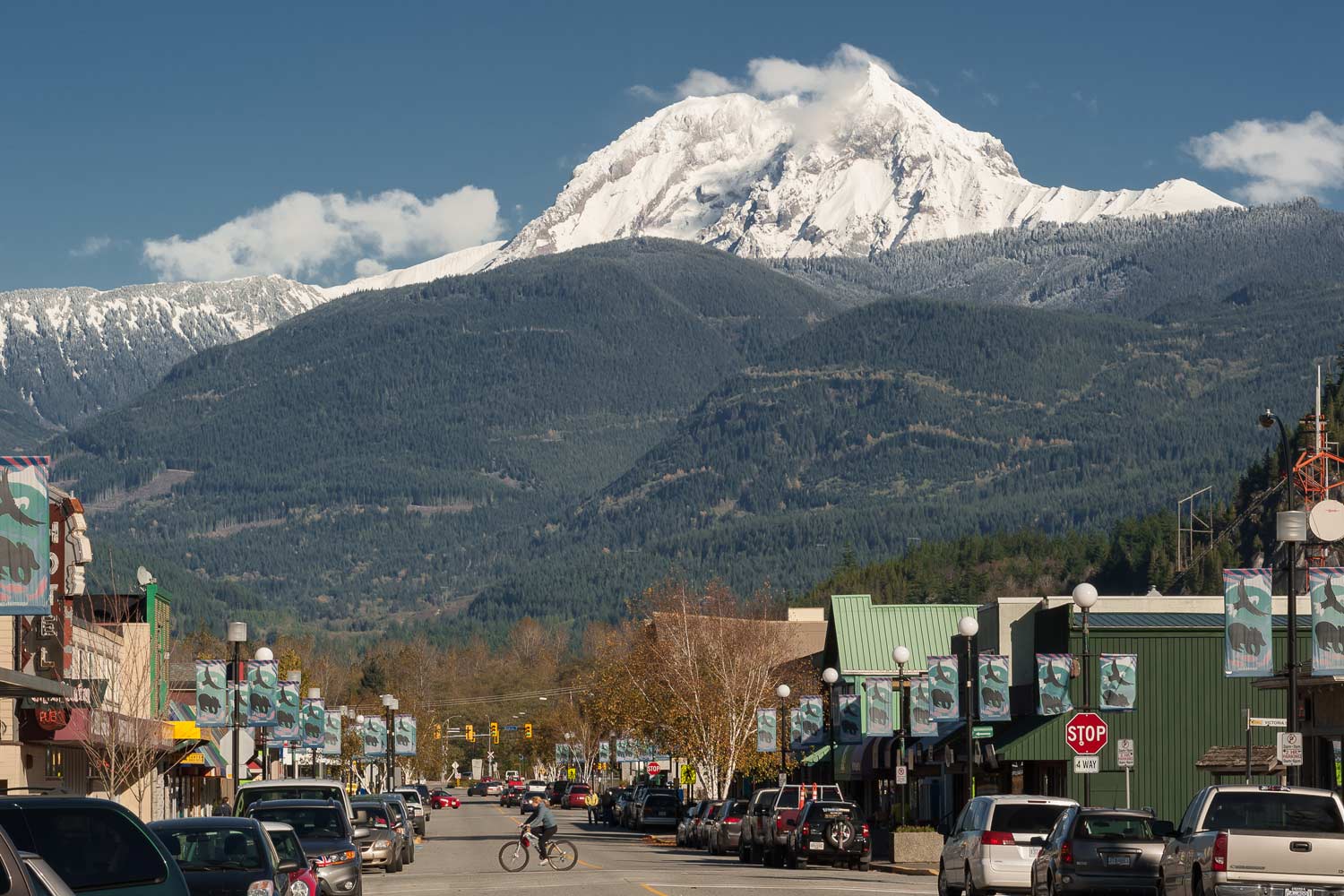 Downtown Squamish Business Improvement Association