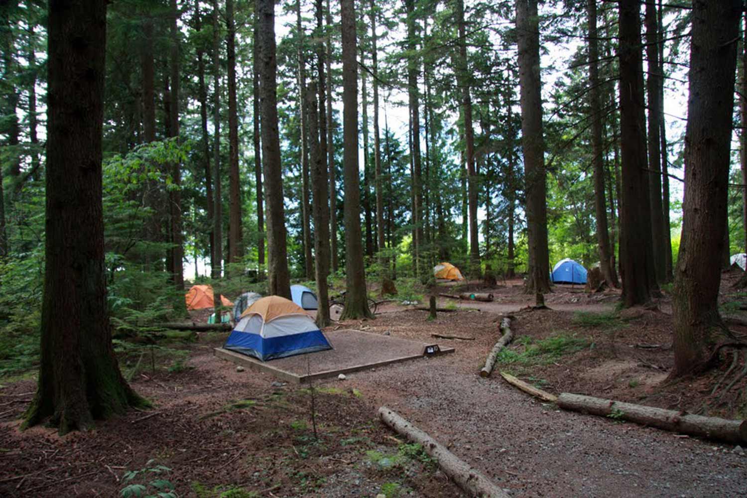 Stawamus Chief Campground Squamish BC