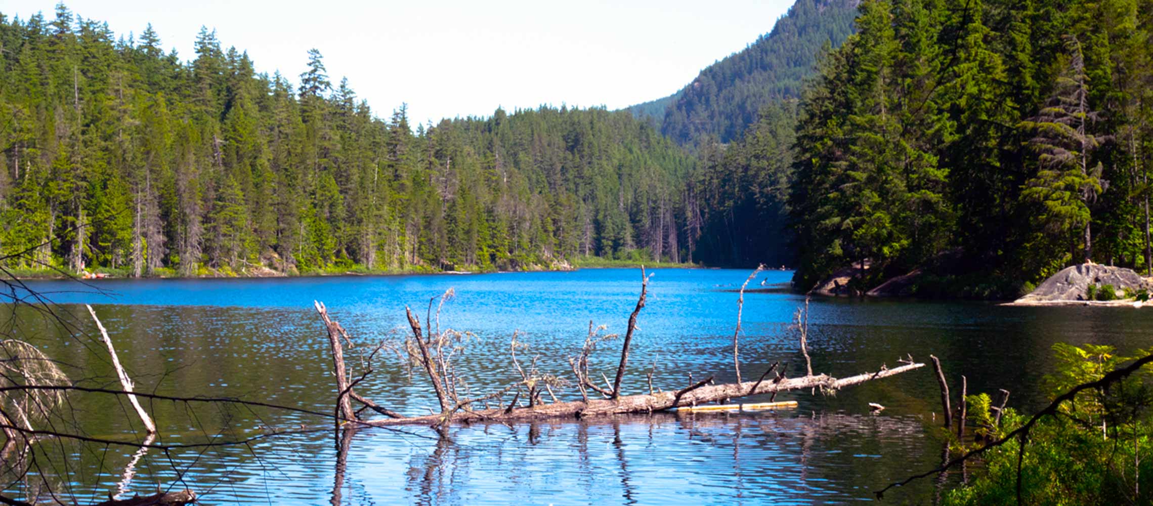 Brohm Lake Interpretive Forest Squamish BC