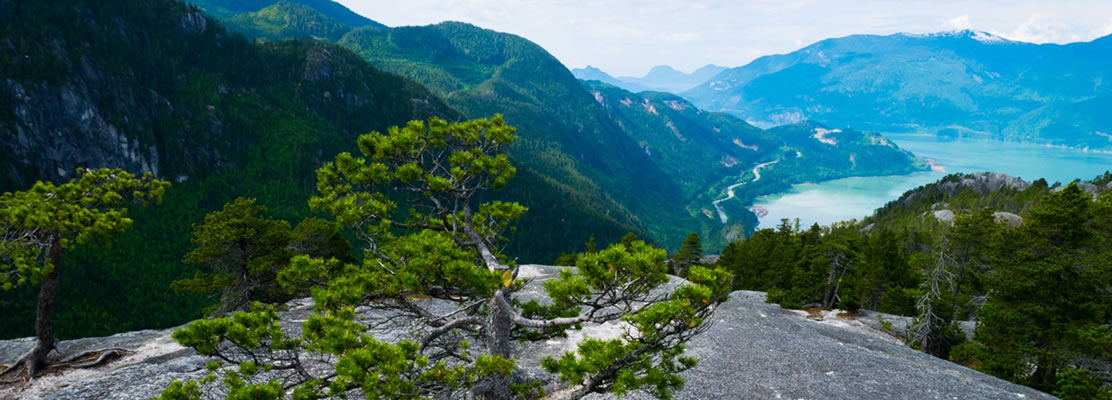 Hiking the Chief in Squamish