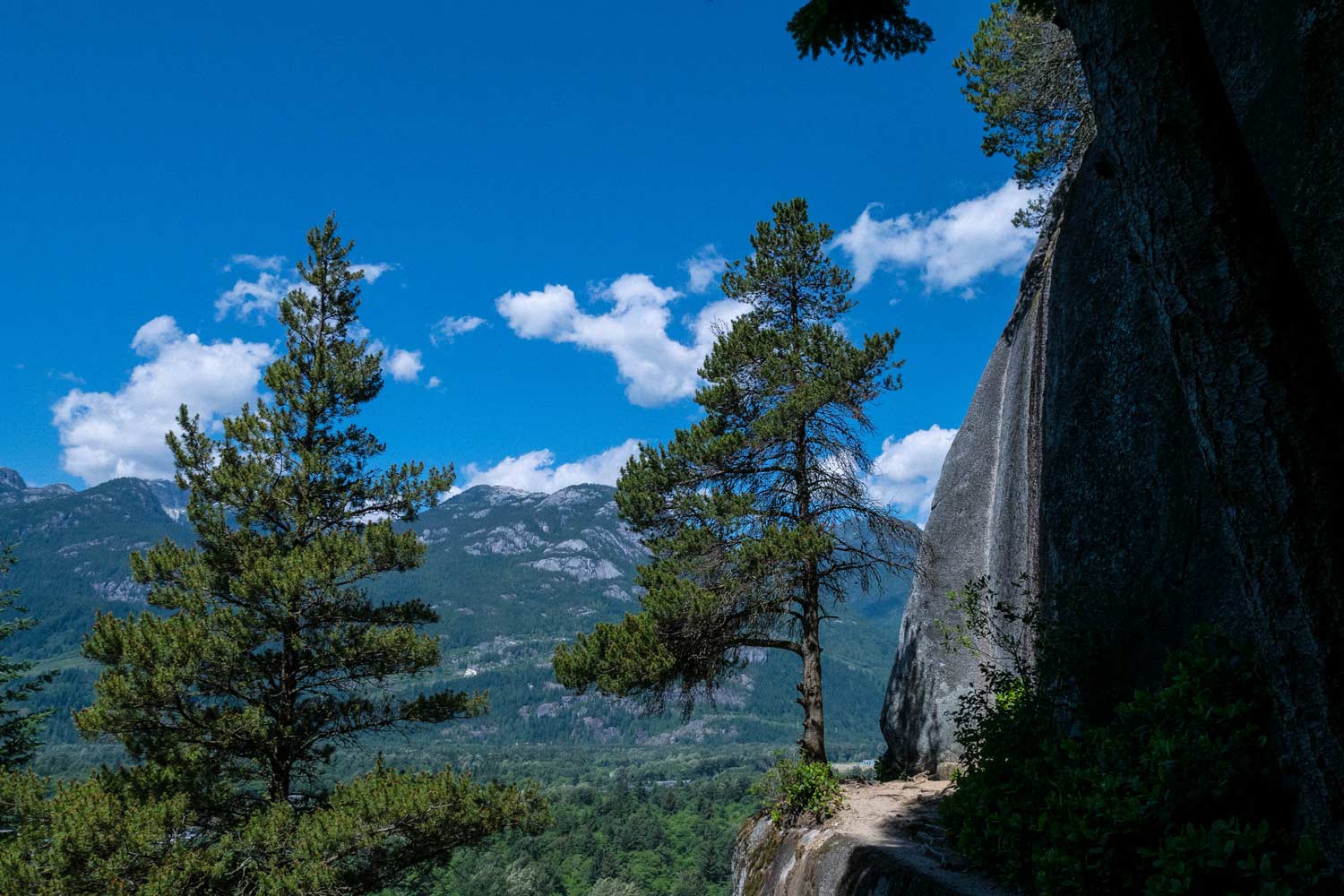Hiking Through The Smoke Bluffs