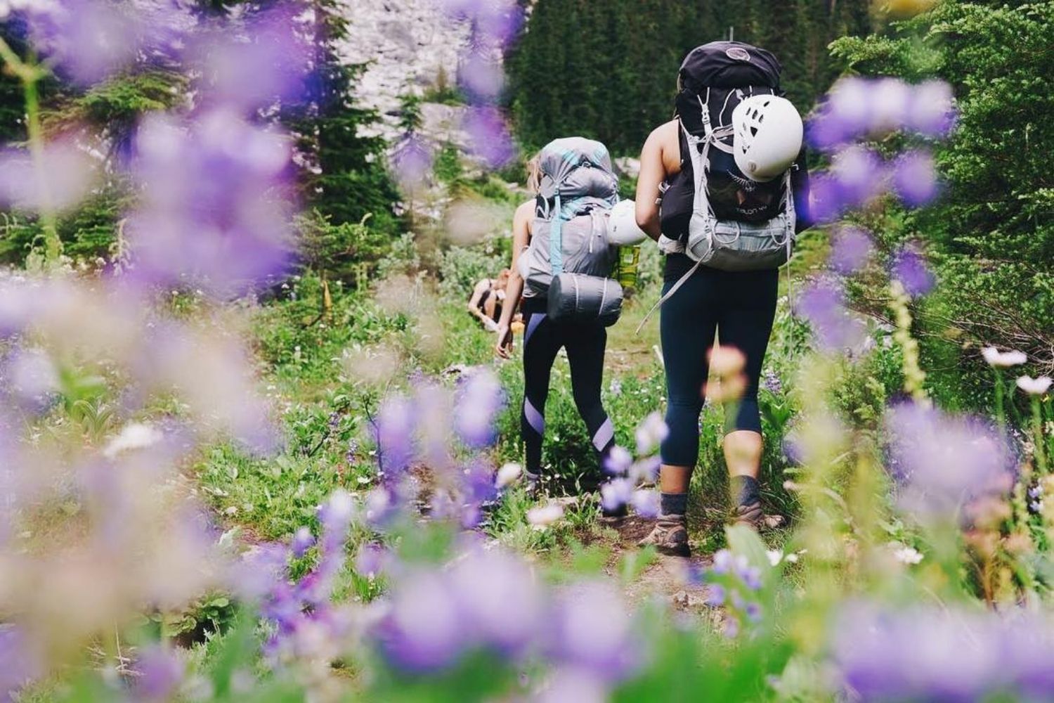 Hiking in Squamish