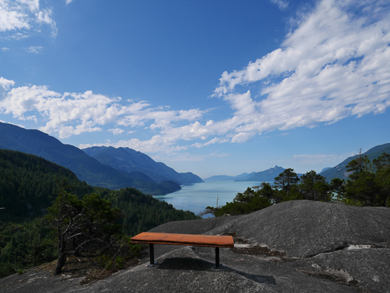 Bench at Murrin Park Bench along the Murrin Park Loop Trail