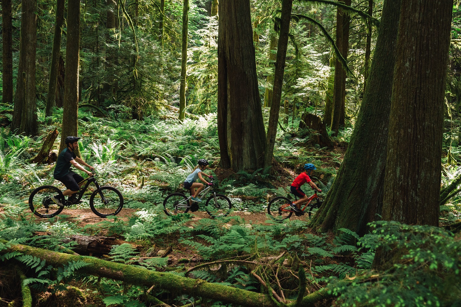 Family riding in Brackendale