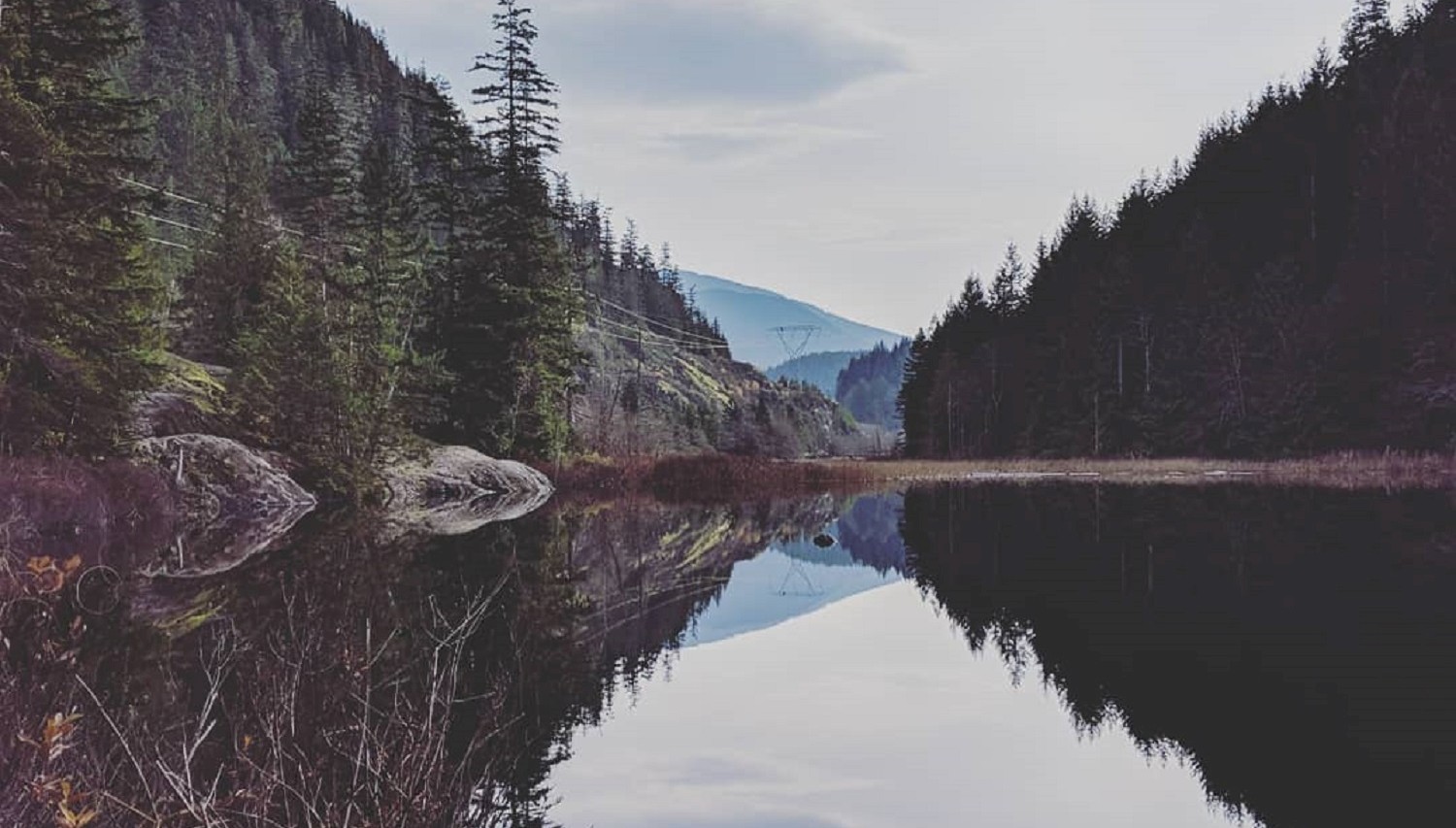 Friday Trail Feature - The Brohm Lake Interpretive Forest