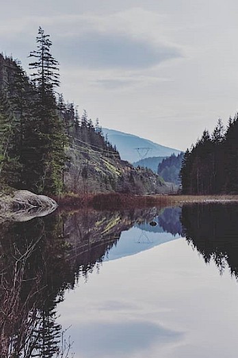 Friday Trail Feature - The Brohm Lake Interpretive Forest