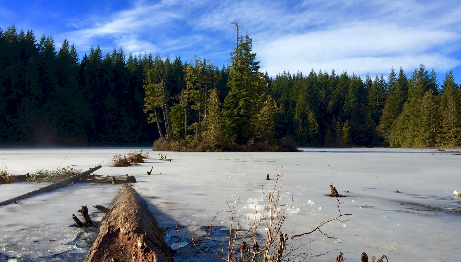 Four Lakes Trail