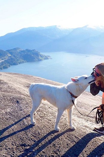 12 Dog-Friendly Trails in Squamish