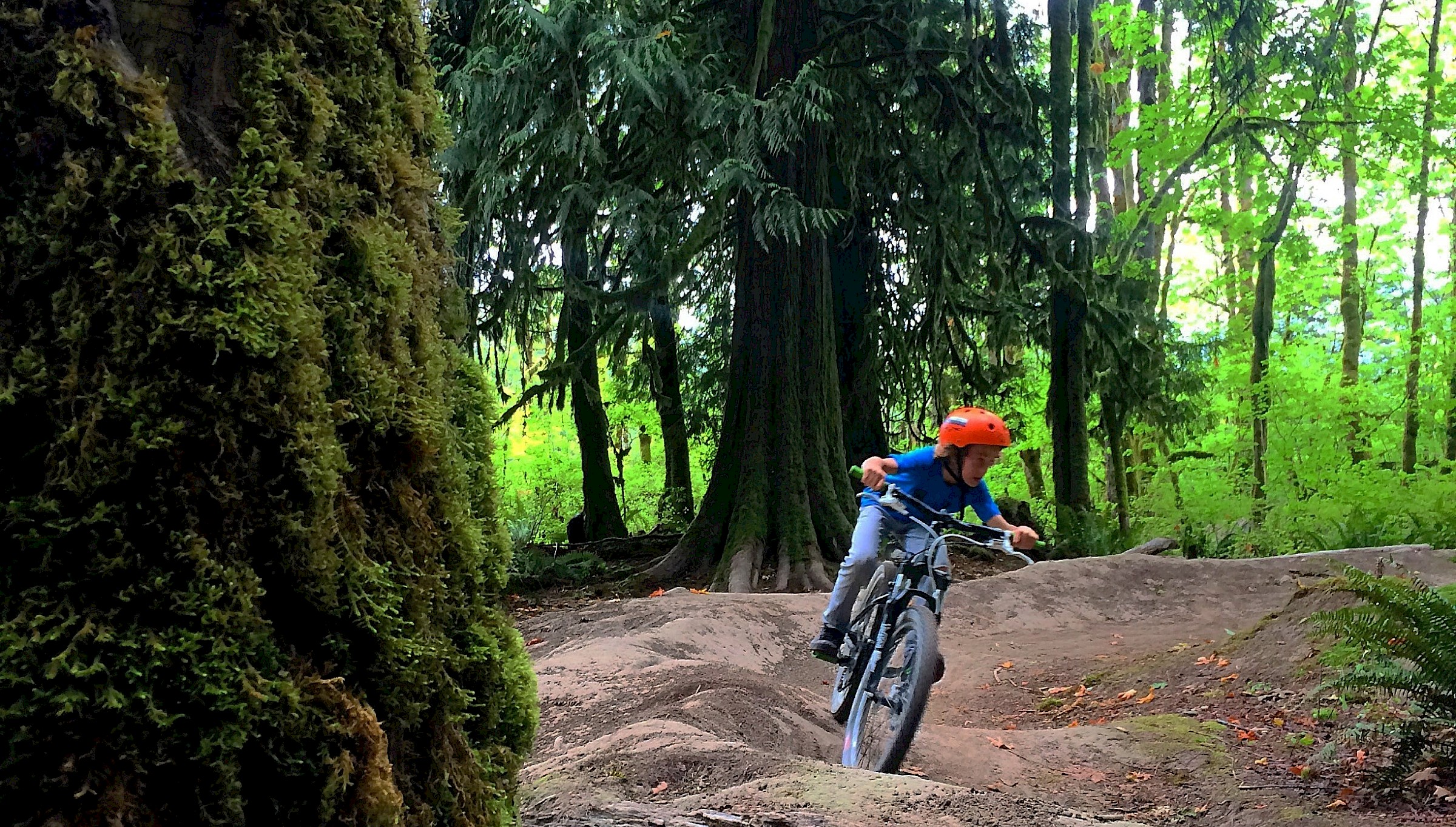 Squamish Grom-Friendly Bike Parks