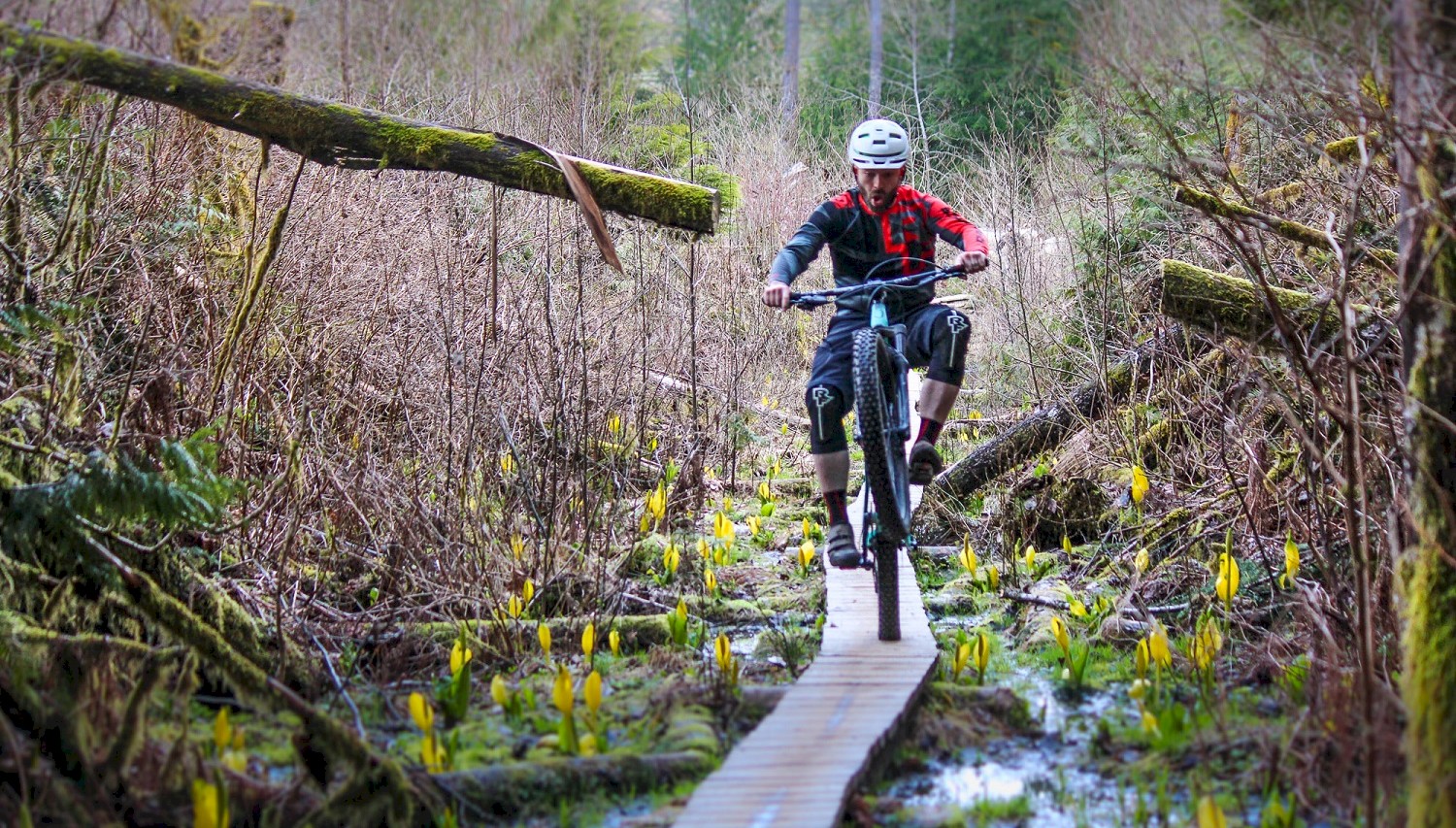 Squamish Bike Guide: Alice Lake & Garibaldi Highlands Zone