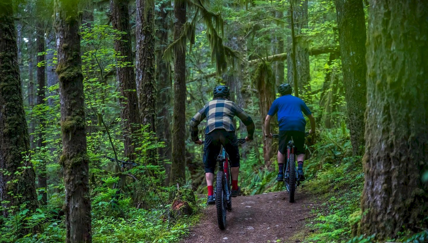 Squamish Bike Guide: Valleycliffe Zone