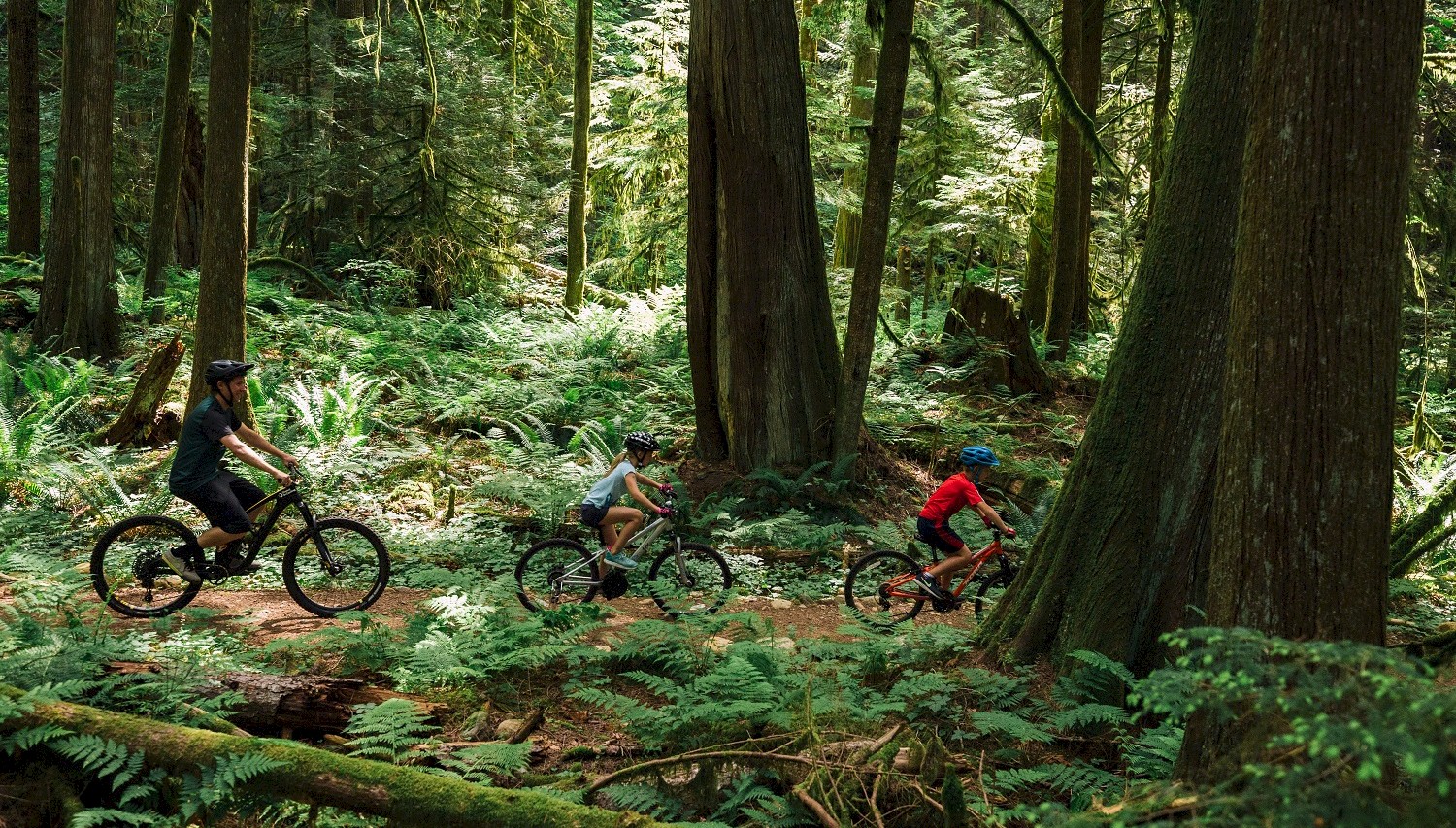 Family riding in Brackendale