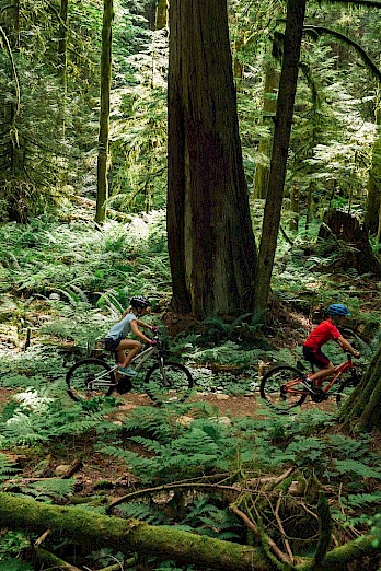 Family riding in Brackendale