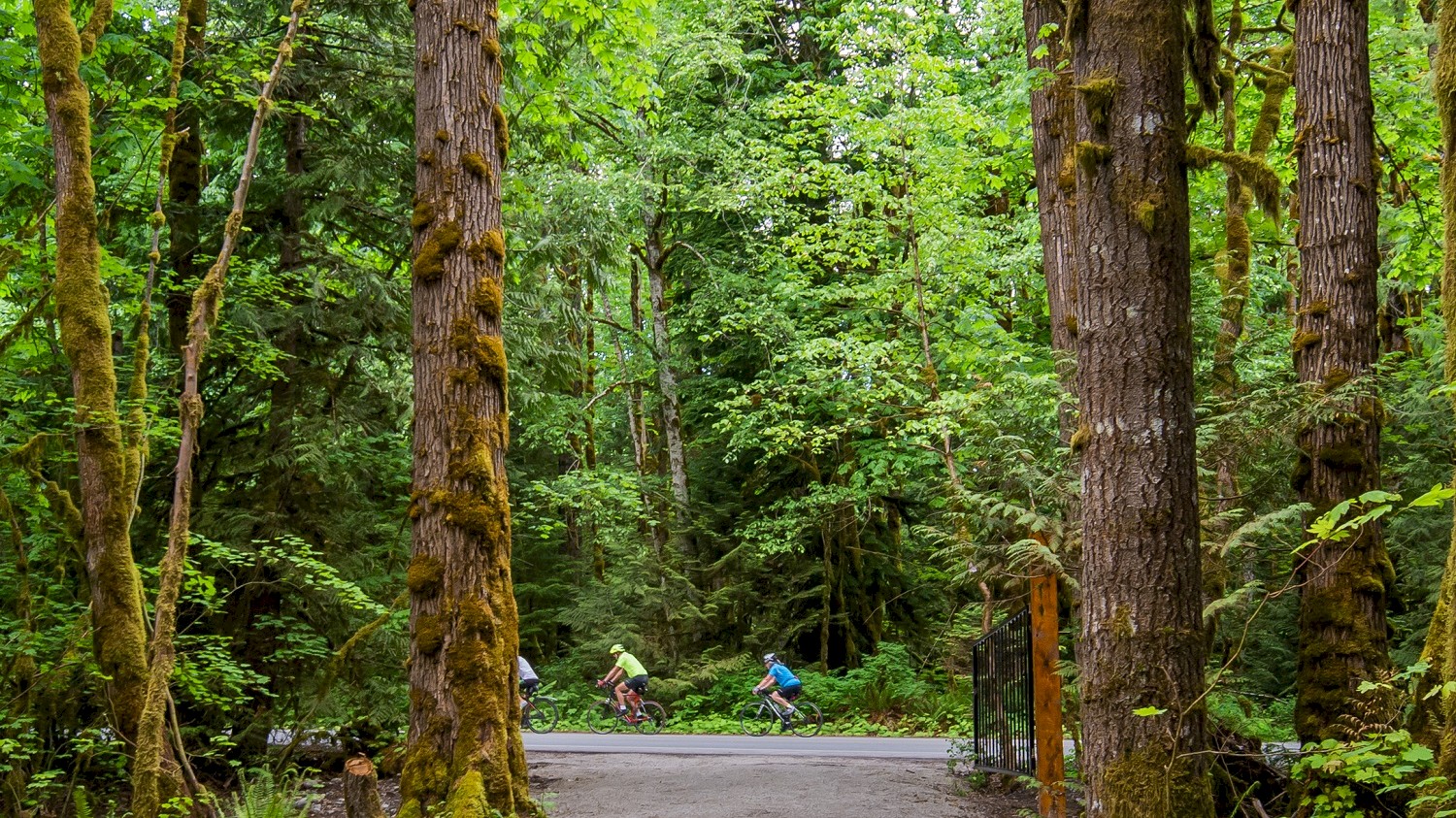 Paradise Valley Campground Slideshow Image