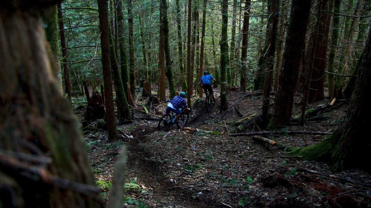 Ride BC - Local Mountain Bike Guides Slideshow Image