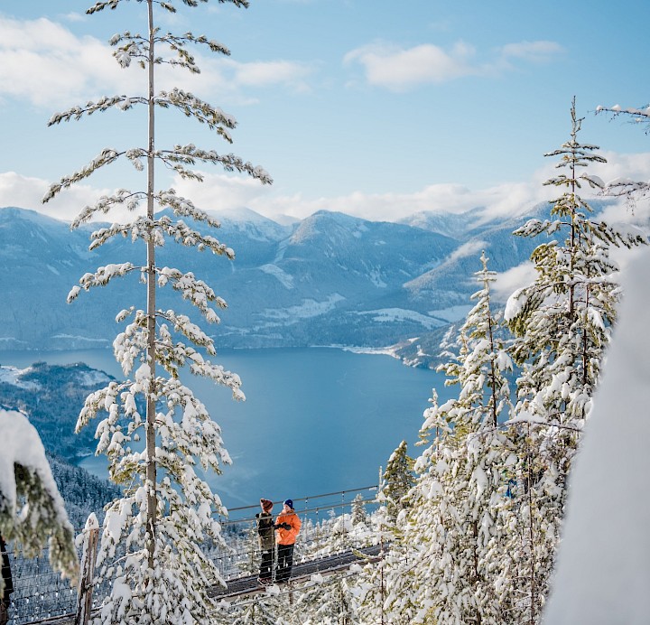 Snowy Summit at the Gondola
