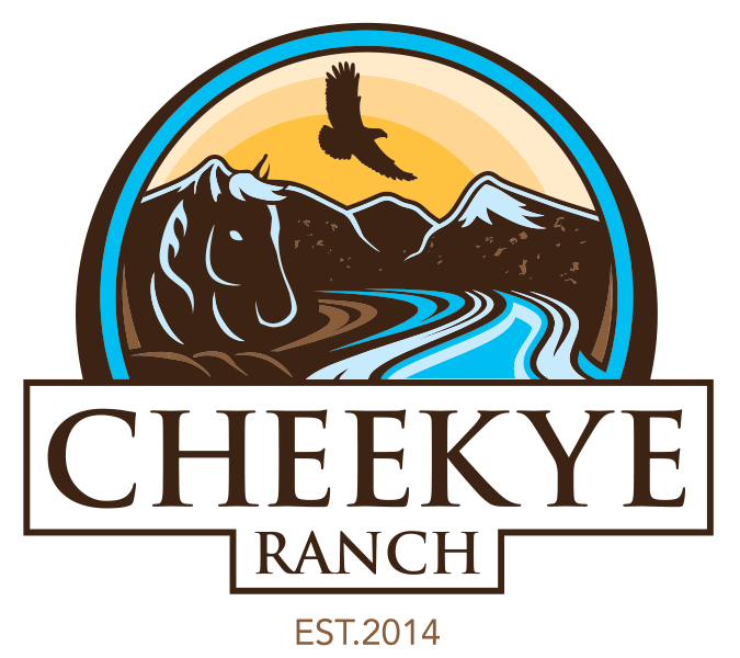 Cheekye Ranch Glamping Yurts Logo