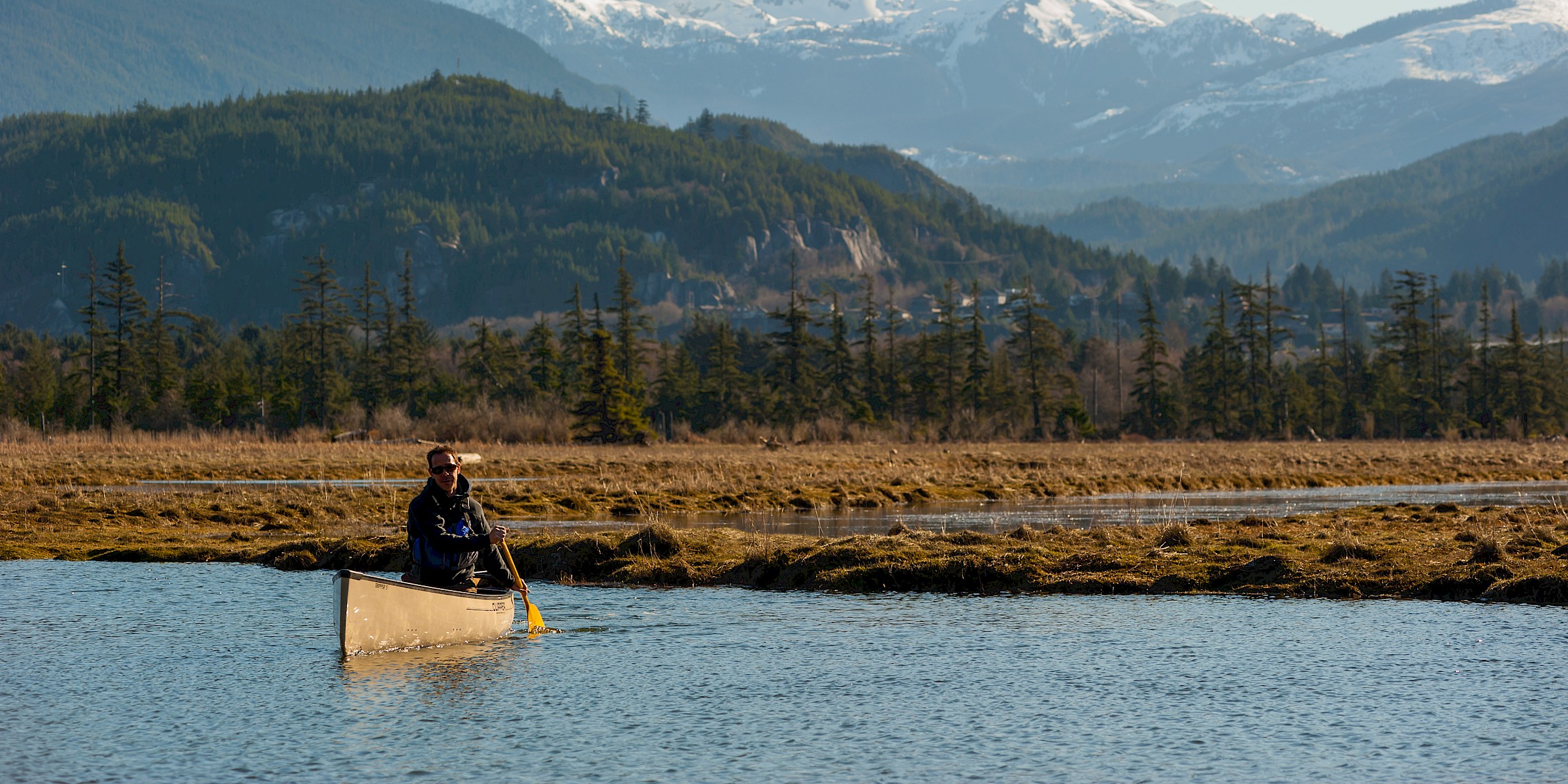 Mountainbiker on a forest trail