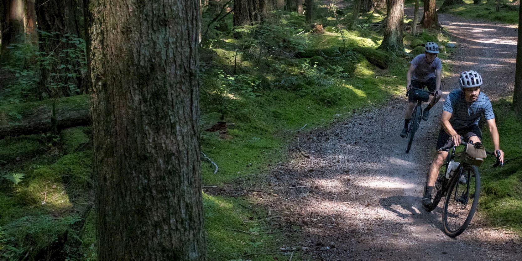 Mountainbiker on a forest trail