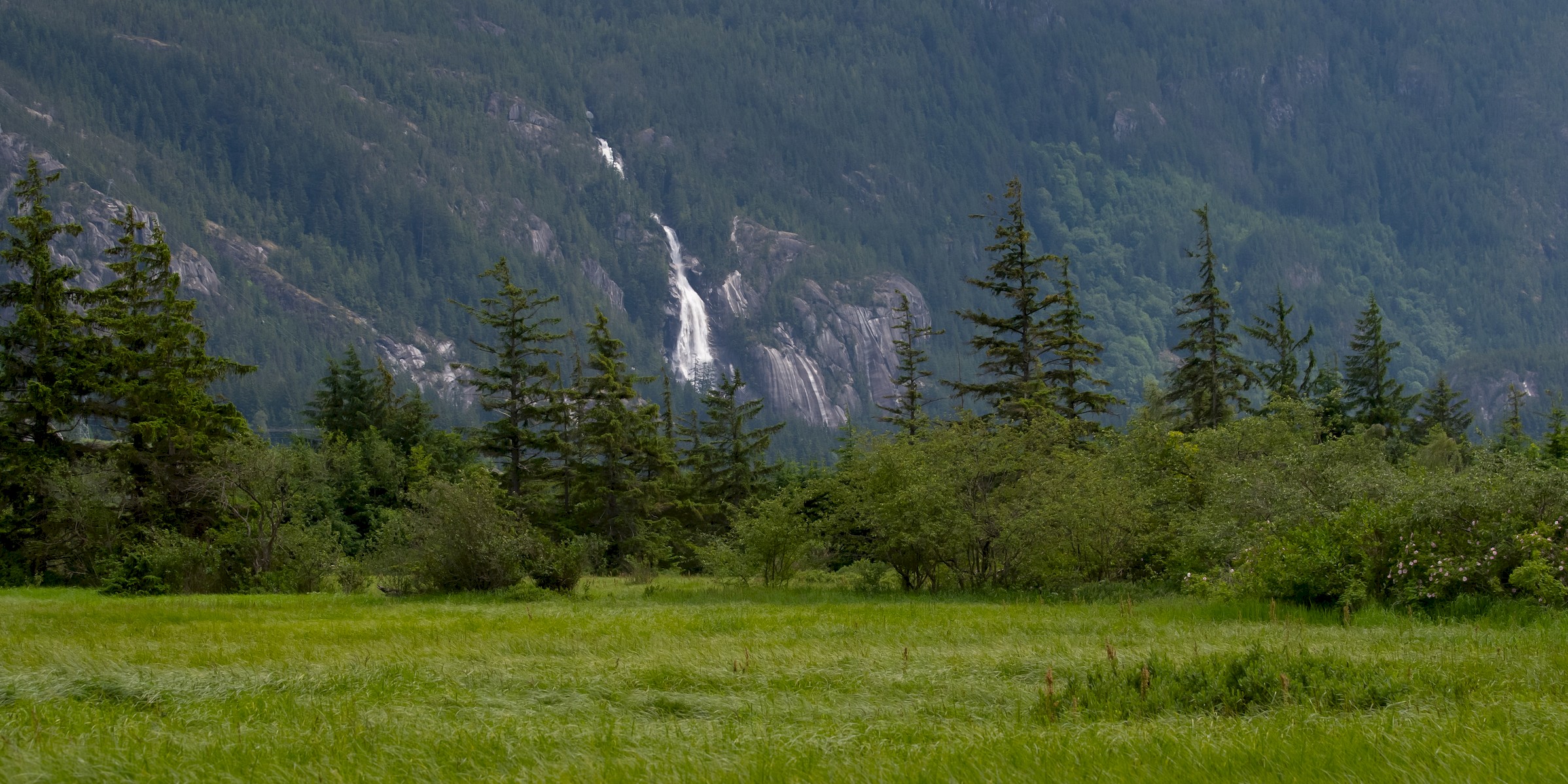 View of Shannon Falls from the Squamish Estuary